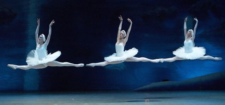 El Lago de los Cisnes se presentará en el Teatro Metropolitan