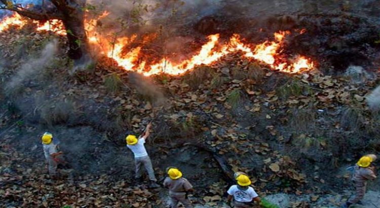 Incendio forestal en Jalisco duró 11 días