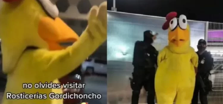 Arrestan a botarga de pollo en aeropuerto de Guadalajara