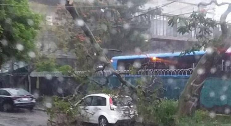 Inundaciones y vehículos varados en Guadalajara