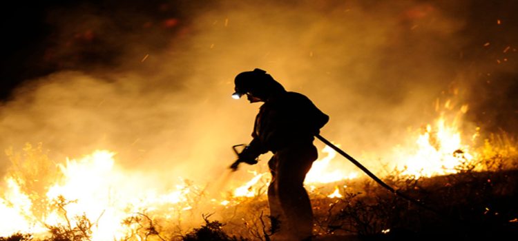 Jalisco acumula hectáreas afectadas por incendios este año