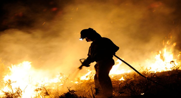 Jalisco acumula hectáreas afectadas por incendios este año