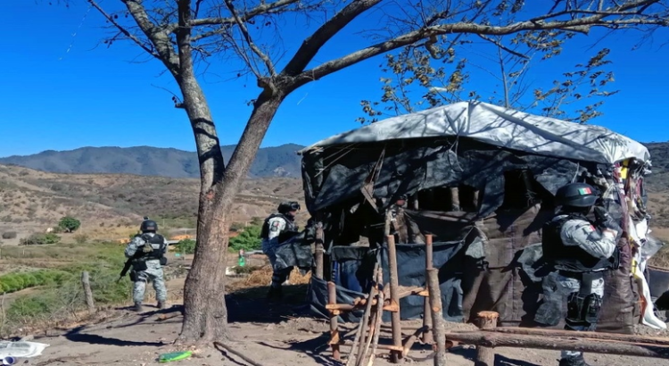 Localizan campamento clandestino en Jalisco