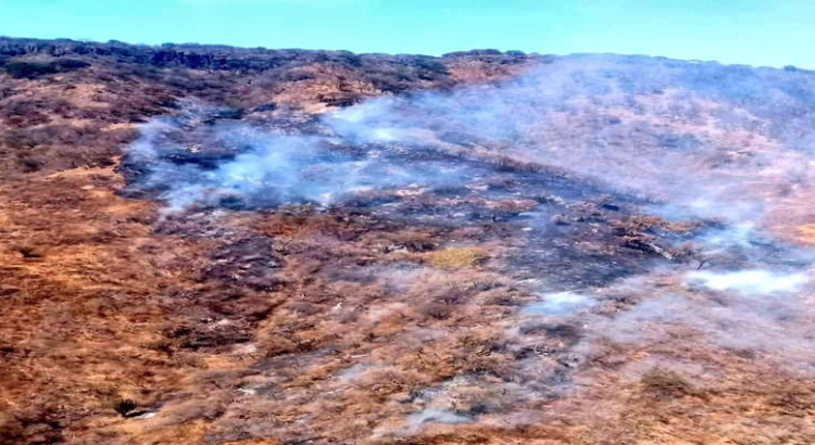 Más de 500 hectáreas de áreas naturales afectadas por incendios en Zapopan