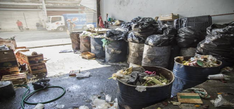 Jalisco es la tercera entidad en el país que genera mucha basura