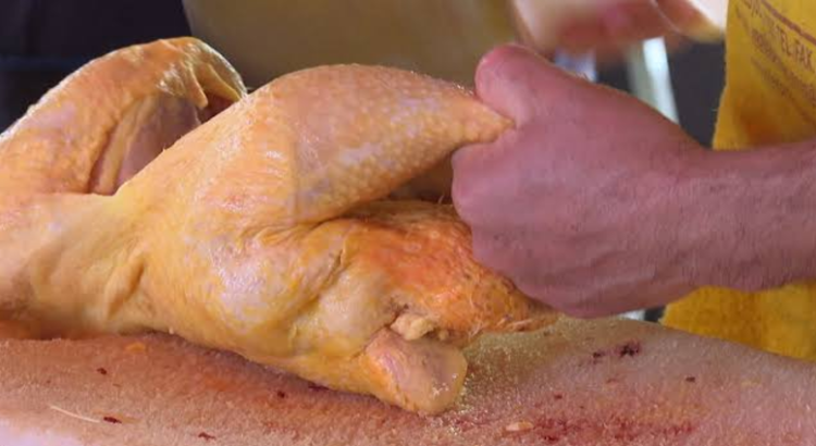 Incrementa precios del pollo y huevo tras gripe aviar en Jalisco