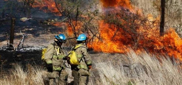Jalisco lidera en área afectada por incendios
