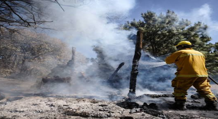 26 municipios de Jalisco son afectados por incendios forestales