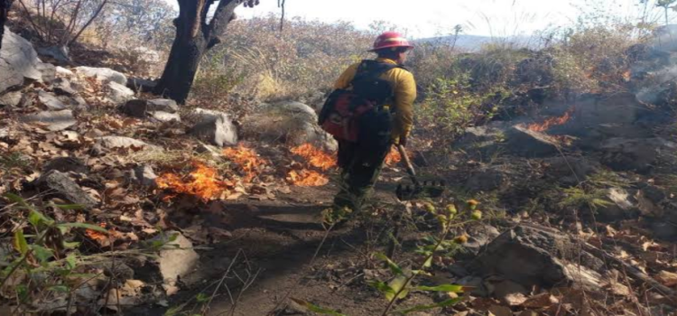 Jalisco es el estado con más superficie afectada por incendios
