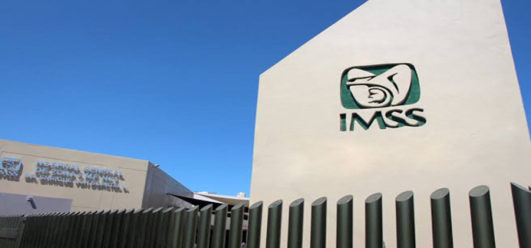 Jalisco lidera a nivel nacional el número de patrones inscritos al IMSS