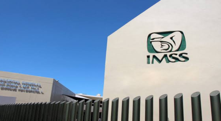 Jalisco lidera a nivel nacional el número de patrones inscritos al IMSS