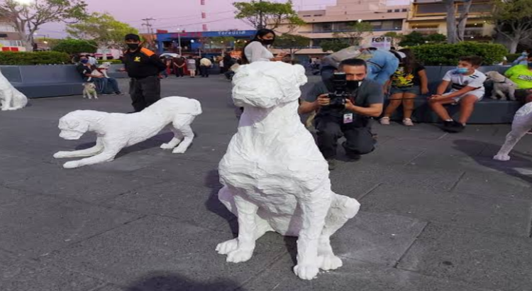 Exhibición de esculturas caninas llega a Jalisco