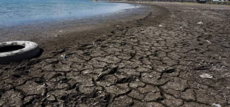 Se disparan municipios con sequía severa en Jalisco