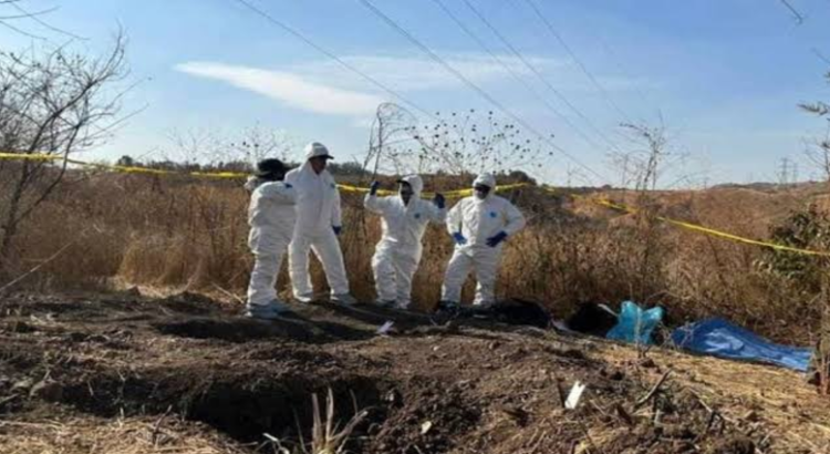 Localizan tres cadáveres en barranca de Zapopan, Jalisco