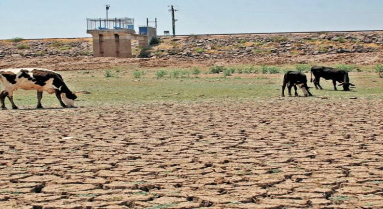 Jalisco es el estado con mayor superficie afectada por la sequía