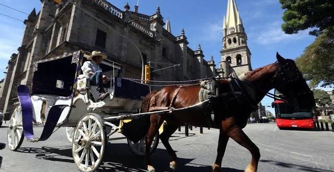 Por intenso calor, dan descanso a los caballos de las calandrias en Guadalajara