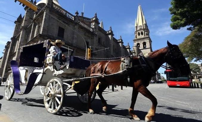 Por intenso calor, dan descanso a los caballos de las calandrias en Guadalajara