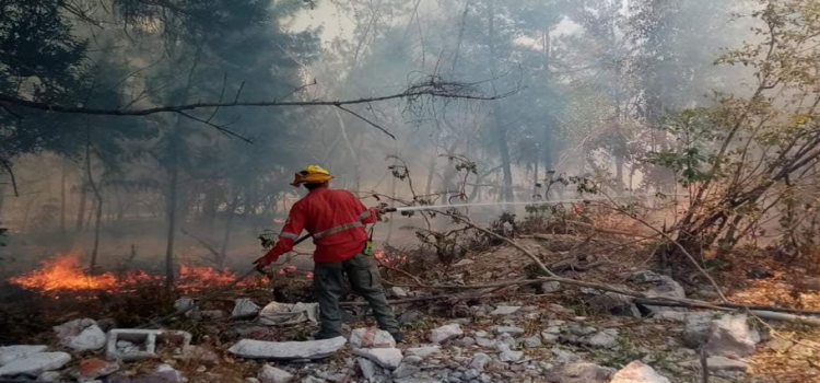 Enrique Alfaro propone endurecer las penas para quien incendie bosques