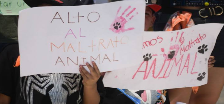 Realizarán Animal Fest invita a denunciar casos de maltrato animal en Jalisco