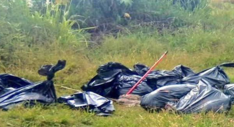 Localizan 25 bolsas con restos humanos en Jalisco