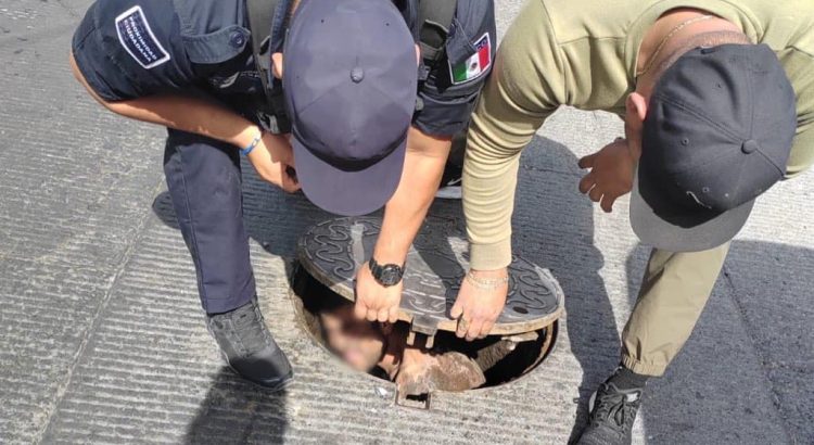 Hombre pasó cuatro días atrapado en una alcantarilla en Guadalajara