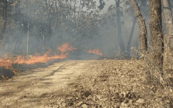 Se registra fuerte incendio en Zapopan, Jalisco