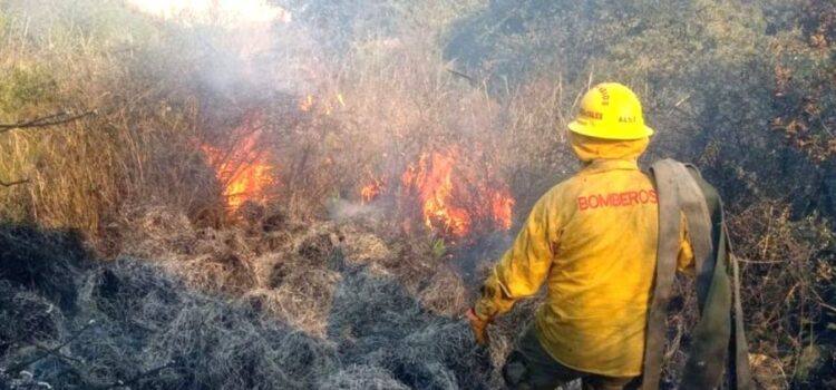 Disminuyen incendios forestales en Jalisco