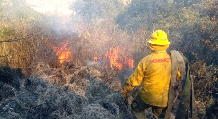 Disminuyen incendios forestales en Jalisco