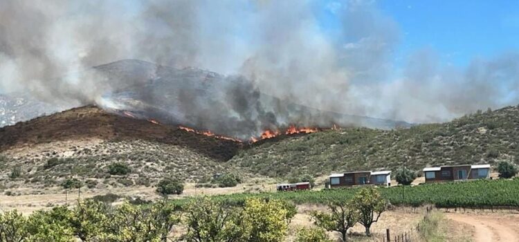 Jalisco es la segunda entidad con más incendios forestales