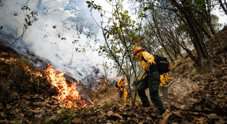 Semadet anuncia el cierre del periodo crítico de estiaje en Jalisco