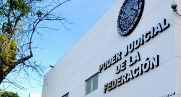 Más de 10 mil aspirantes se registraron para participar en la elección del Poder Judicial Más de 10 mil aspirantes se registraron para participar en la elección del Poder Judicial