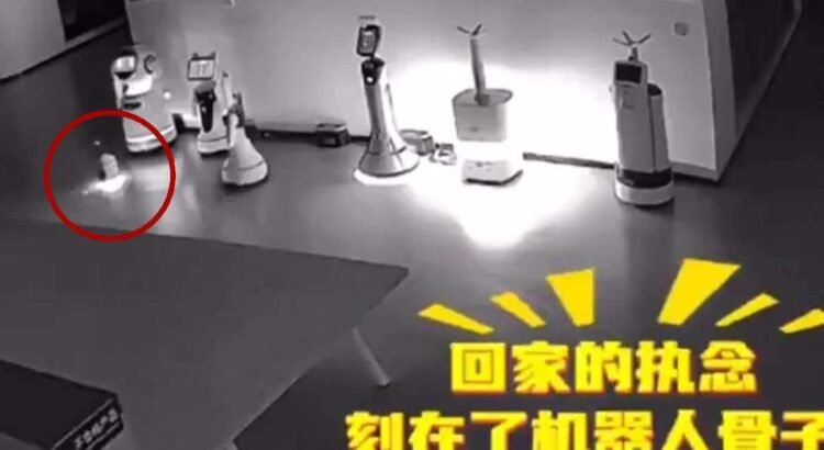 ¿Rebelión de las máquinas? Robot con IA convence a otros androides de dejar de trabajar ¿Rebelión de las máquinas? Robot con IA convence a otros androides de dejar de trabajar