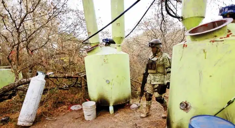 Cártel de Sinaloa recluta estudiantes de química para la producción de fentanilo Cártel de Sinaloa recluta estudiantes de química para la producción de fentanilo