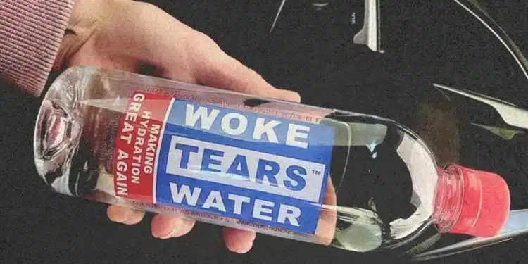 El auge de las tiendas «anti-woke» en los Estados Unidos El auge de las tiendas «anti-woke» en los Estados Unidos