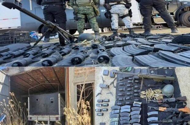 Desarticulan campamento de integrantes del crimen organizado en Teocaltiche, Jalisco