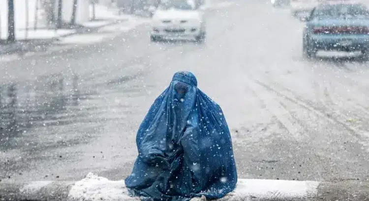 Talibanes prohíben las ventanas… para impedir que vean a las mujeres en casa Talibanes prohíben las ventanas… para impedir que vean a las mujeres en casa
