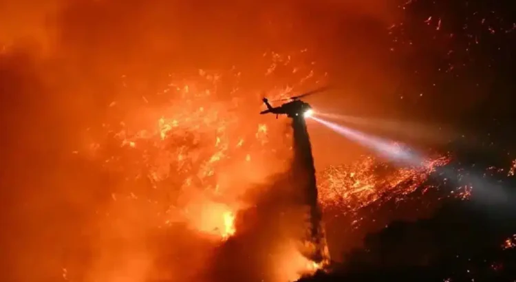 Crisis de seguros en California: cancelaciones masivas de pólizas tras incendios forestales Crisis de seguros en California: cancelaciones masivas de pólizas tras incendios forestales