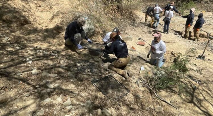 Hallazgo de Restos Humanos en Pozos de Ameca, Jalisco