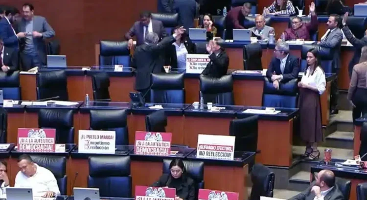 Senado aprueba reforma contra el nepotismo electoral