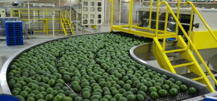 Jalisco se mantiene en el segundo lugar en exportaciones