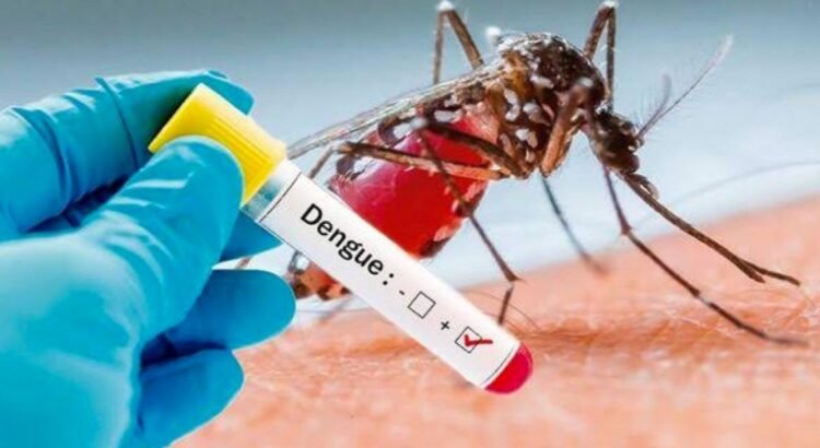 Pronostican más de 17 mil 800 casos de dengue durante este año en Jalisco