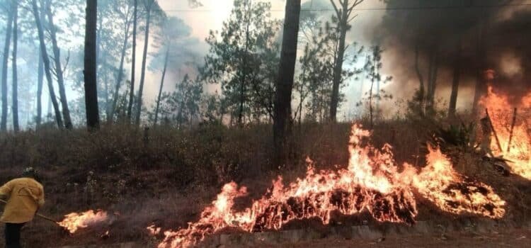 Jalisco suma más de mil 500 incendios en 2025