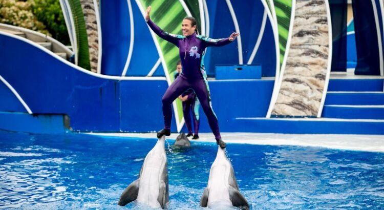 Avalan proyecto de reforma para prohibir el uso de mamíferos marinos en espectáculos