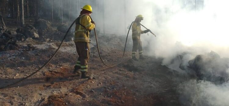 Jalisco reduce 19.2% superficie afectada por incendios forestales en 2025