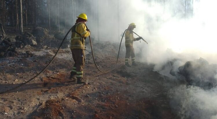 Jalisco reduce 19.2% superficie afectada por incendios forestales en 2025