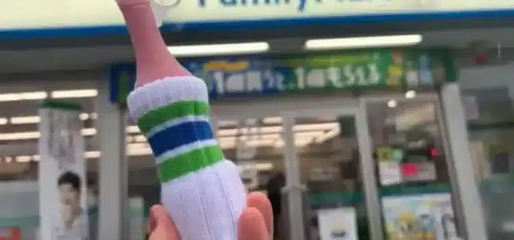 Lanzan en Japón mini calcetas para helado