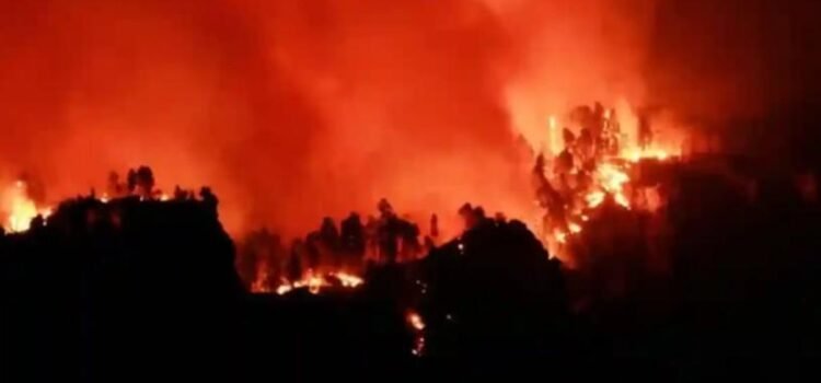 Crisis climática, “una amenaza urgente y existencial”: CIJ