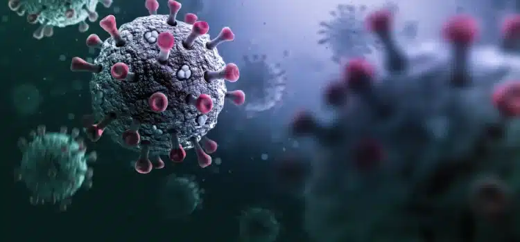 Emite la OMS alerta por virus Stratus