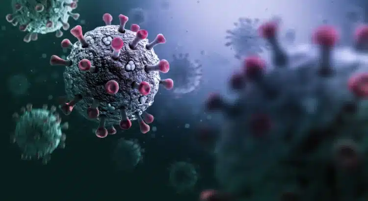 Emite la OMS alerta por virus Stratus