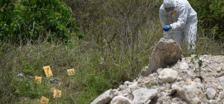 Buscan fosas clandestinas en Jalisco mediante análisis del crecimiento vegetal